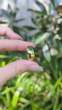 Load and play video in Gallery viewer, Wide Australian parti sapphire band 9ct yellow gold
